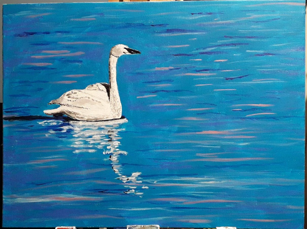 A Swan on a Lake